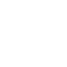 airplane icon